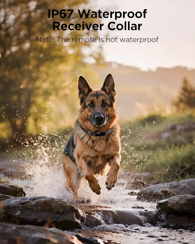 BLACKDOG Military Dog Shock